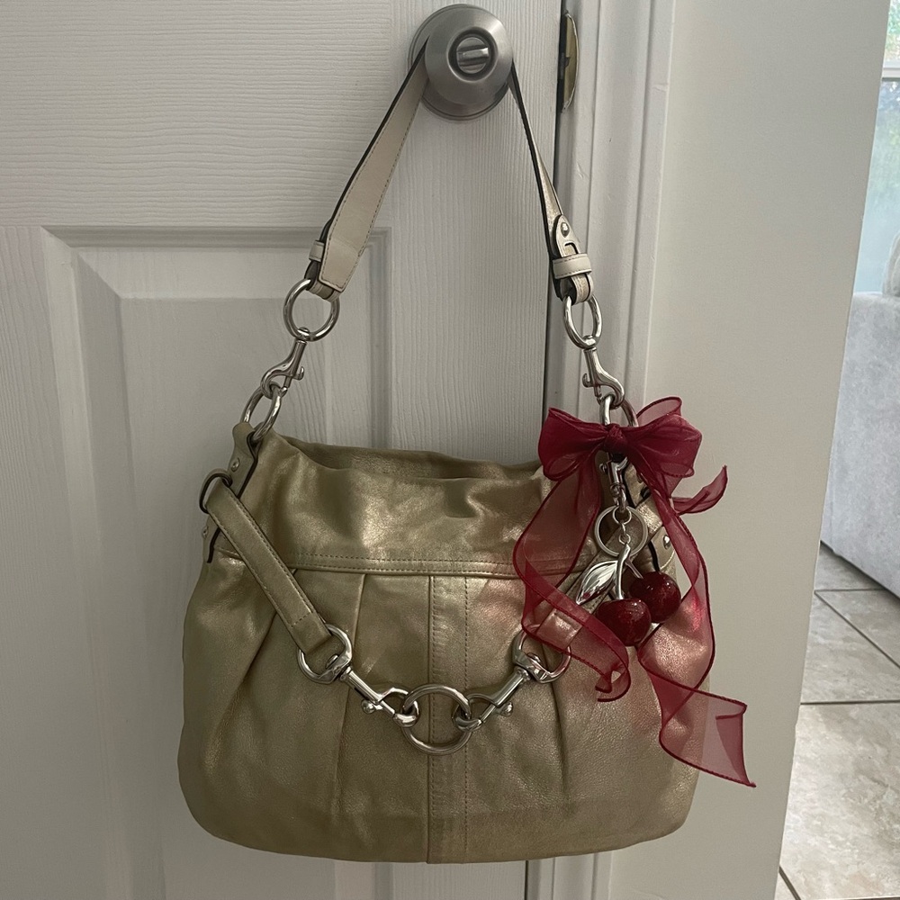 Coach bag